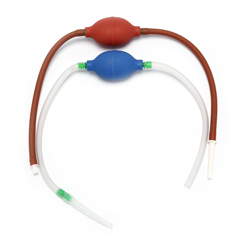 Novo Limpador Anal, Kit de Lav - Health Wellness & Nutrition Center Llc avaliação e preço